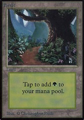 Forest (B) - Path